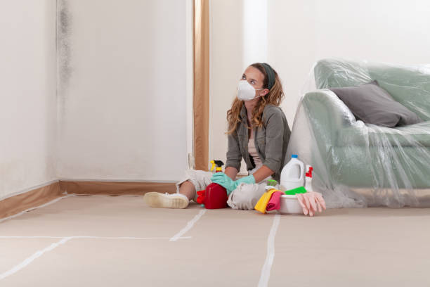Reliable Mold Cleanup contractor in Cedar Grove, NC by Cheap Mold Removal